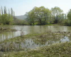 Машки труп пронајден во река Пчиња во Студена Бара