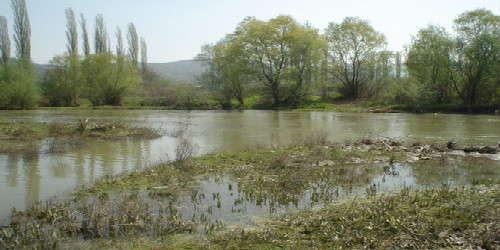 Машки труп пронајден во река Пчиња во Студена Бара
