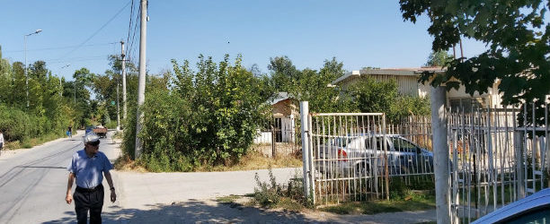 Дива свиња се прошета во Куманово