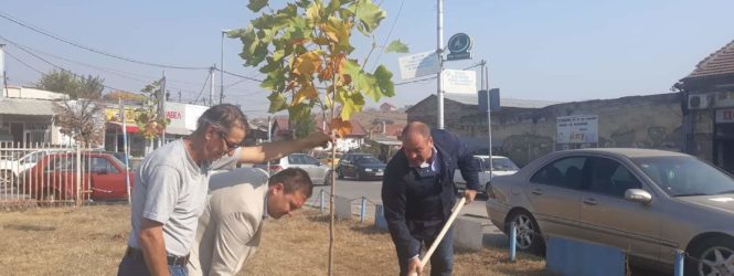 Засадени 100 нови садници во Куманово