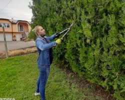 Ковид 19 и гласот на жената од руралната средина