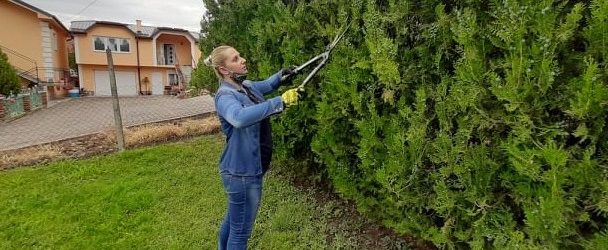 Ковид 19 и гласот на жената од руралната средина