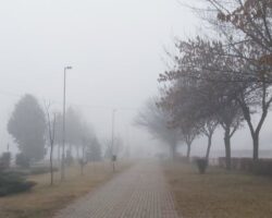 Претпладне магла, а попладне сончево со мала облачност и температури до 13 степени