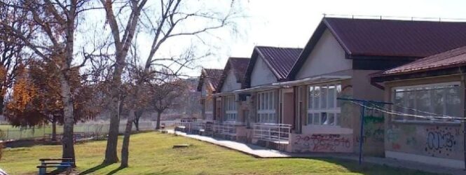 Децата во градинката Ангел Шајче во Куманово се затруени со мајонез, изолирана е бактерија Салмонела