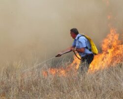 До полноќ биле изгаснати сите 11 пожари во Куманово и Липково