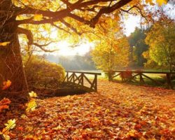 Календарски од денеска започна есента