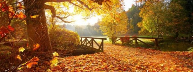 Календарски од денеска започна есента