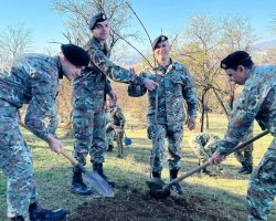 Акција за пошумување на спомен Костурница