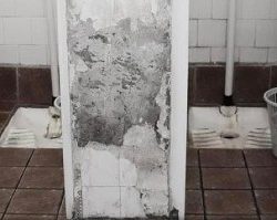 Реконструирани тоалети во основното училиште Вук Караџиќ