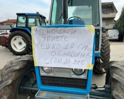 Жителите на Тромеѓа трет ден протестираат и не дозволуваат да им се уништат свињите