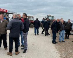 Протест против уништување на свињите во Тромеѓа