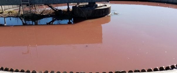Вонредни контроли кај правни субјекти кои произведуваат бои, откако водата во пречистителната добила црвена боја
