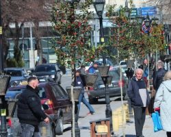 Нови украсни дрва и садници засадени во Куманово