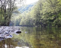 Врнежите не го покачија водостојот на реката Пчиња