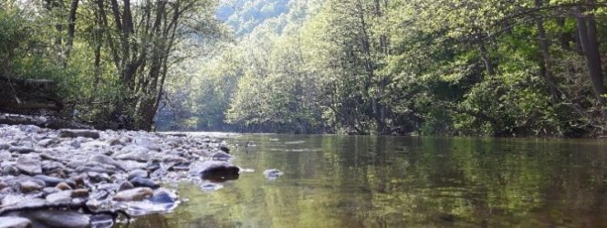 Врнежите не го покачија водостојот на реката Пчиња