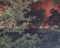 Пет пожари регистрирани во Кумановско