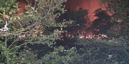 Пет пожари регистрирани во Кумановско