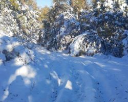 Во село Градиште и денес нема струја, а жителите чекаат и да се расчисти патот од снег
