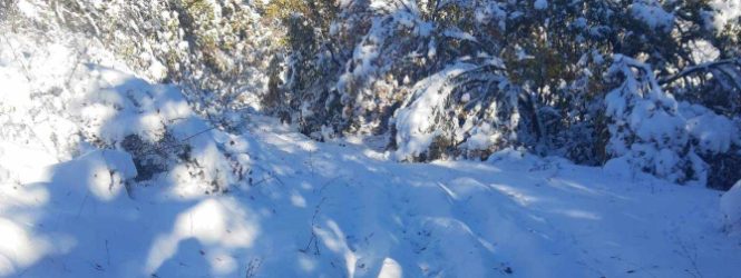 Во село Градиште и денес нема струја, а жителите чекаат и да се расчисти патот од снег