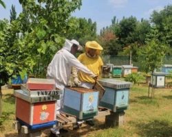 Климатските промени погубни за земјоделското производството