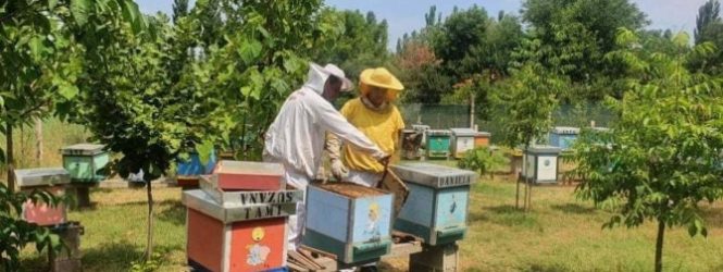 Климатските промени погубни за земјоделското производството