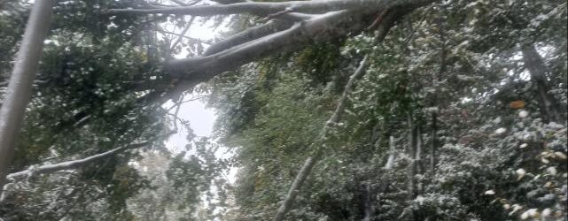 Невремето и снегот ги оставија жителите на селата во козјачието без струја