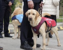 „Отворен ден со Царинската управа“ утре на градскиот плоштад во Куманово
